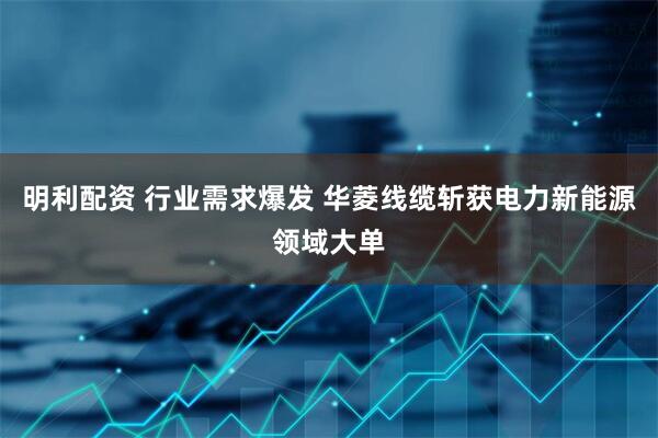 明利配资 行业需求爆发 华菱线缆斩获电力新能源领域大单