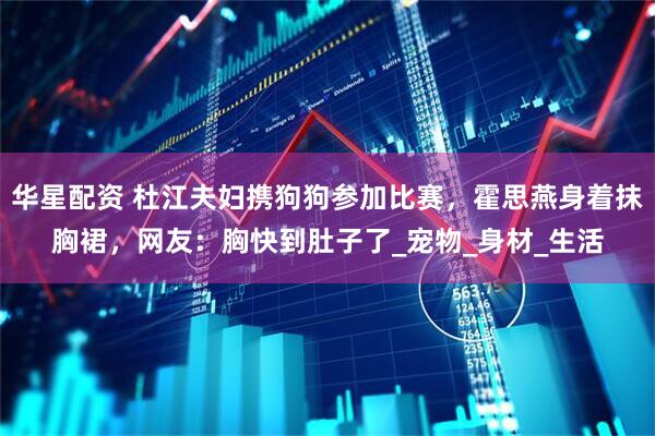 华星配资 杜江夫妇携狗狗参加比赛，霍思燕身着抹胸裙，网友：胸快到肚子了_宠物_身材_生活