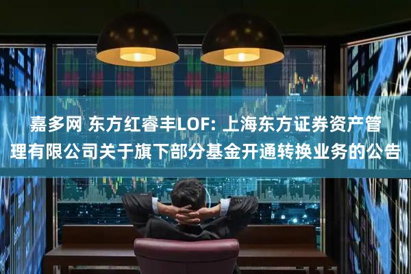 嘉多网 东方红睿丰LOF: 上海东方证券资产管理有限公司关于旗下部分基金开通转换业务的公告