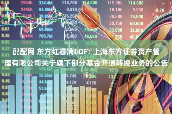 配配网 东方红睿满LOF: 上海东方证券资产管理有限公司关于旗下部分基金开通转换业务的公告